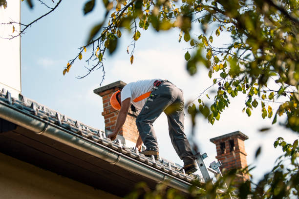 Roof Gutter Cleaning in East Brooklyn, CT