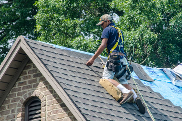 Best Roof Waterproofing Services  in East Brooklyn, CT